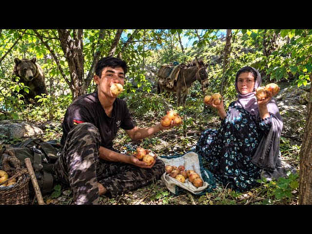 Fatemeh Went Home While Keyvan and Asiye Went to the Garden to Pick Pomegranates 🍎🌿