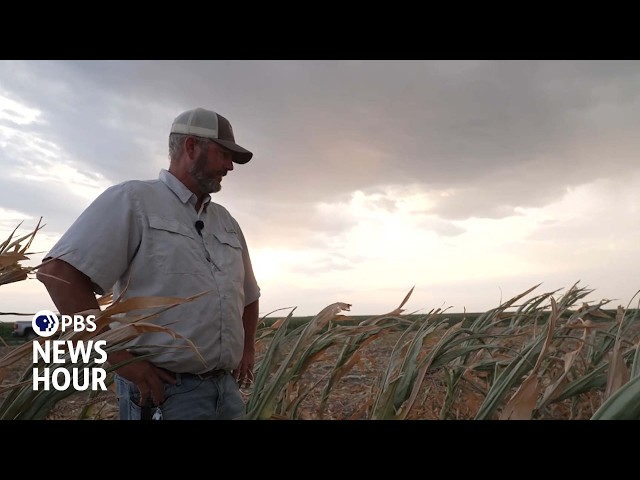 What's making it harder for American family farms to survive