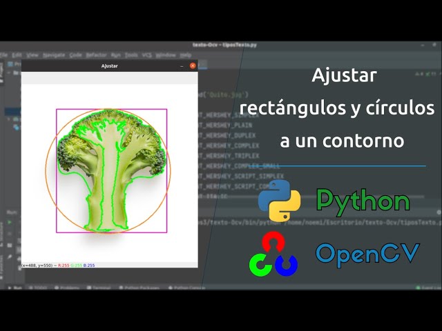 Ajustar rectángulos y círculos a un contorno | Python - openCV