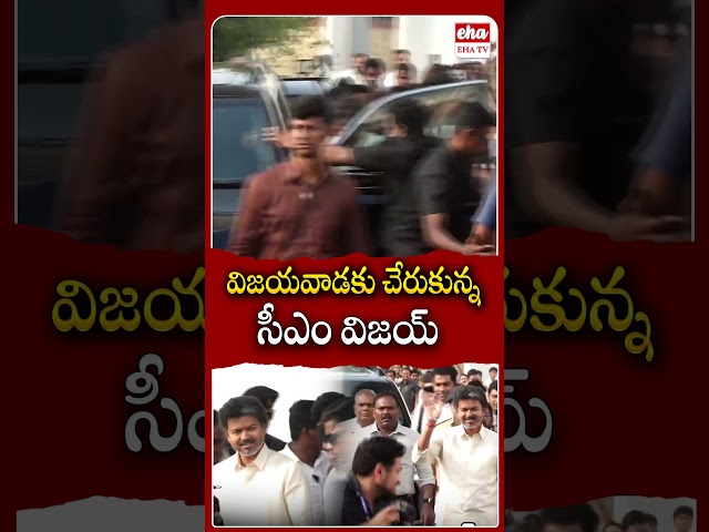 విజయవాడకు చేరుకున్న సీఎం విజయ్ #cmvijay #tamilnaducmvijay #vijay #vijayawada #ytshorts #ehatv