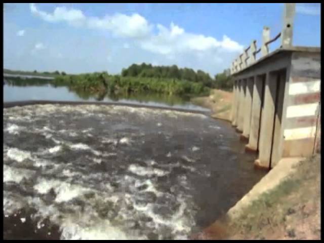 Water dam improves rice farming in Svay Rieng.flv