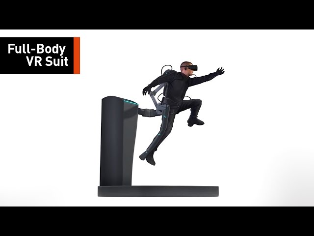 The Full-Body VR Experience