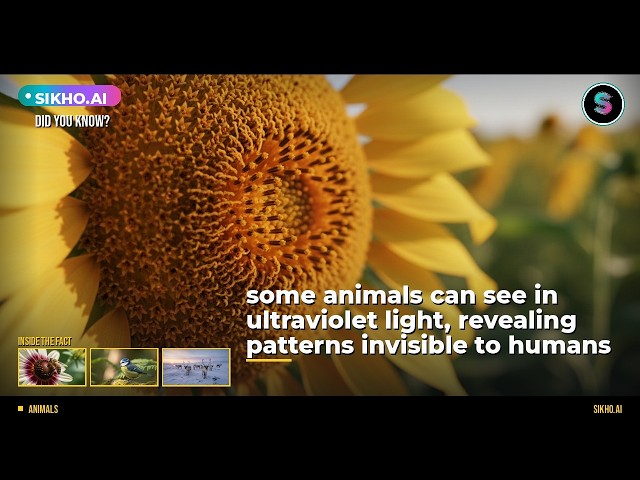 Did You Know Animals See Ultraviolet Light? | Sikho.ai