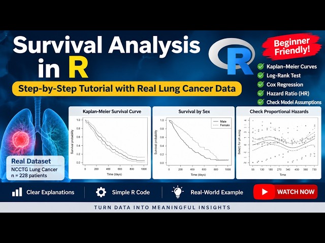 Survival Analysis in R | Kaplan-Meier & Cox Regression | Real Lung Cancer Data