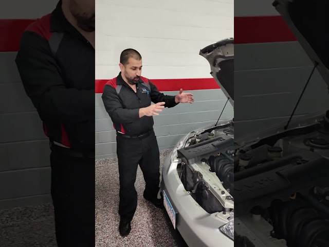 The Importance of Diagnosis! Parts Cannon Fail!