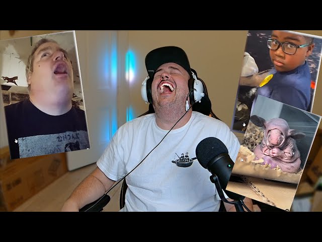 Daz Watches Things That Should Not Make You Laugh