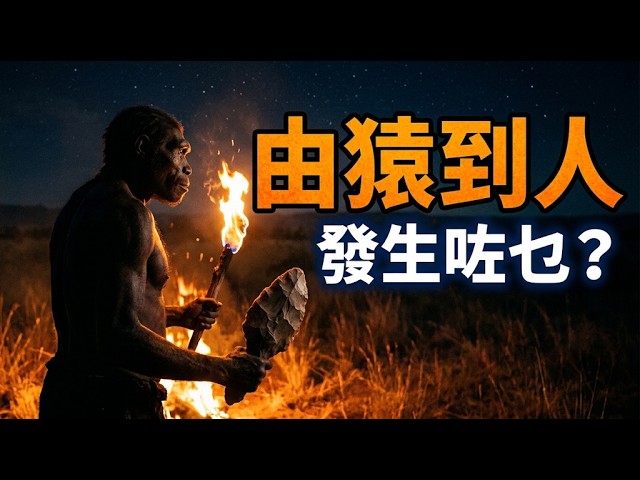 【粵語·廣東話】人類點樣變成人？330萬年前石器、100萬年前火種，直立人點樣走出非洲｜人類演化史