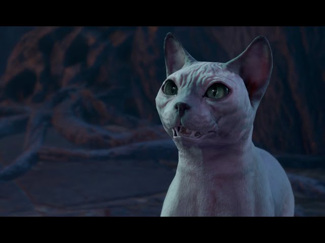 Baldur's Gate 3 - Who's a good kitty? Steelclaw is!