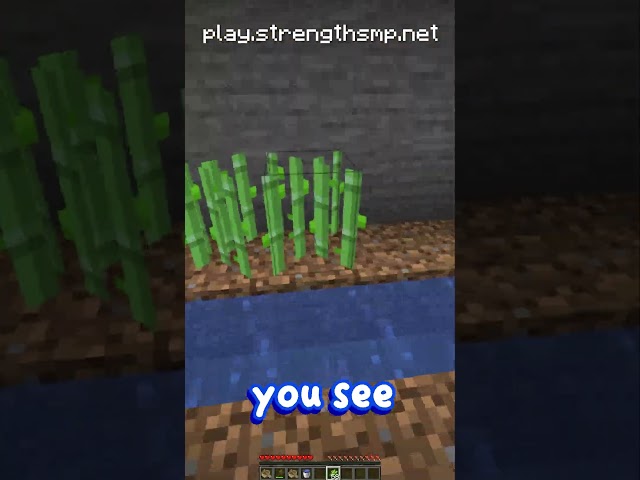 how to become the richest player