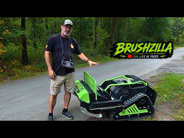 I Ordered a MONSTER Remote-Controlled Flail Mower Online