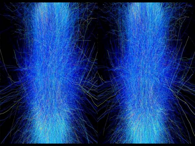 Stereo3D ScienceVisuals/Visualbiotech "Full Rat Neocortical Column Simulation"