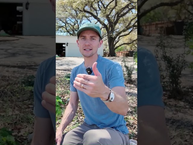 The Mistake Everyone Makes (Soil Prep)