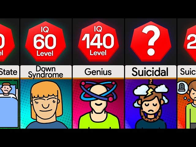 Comparison: You At Different IQ Levels