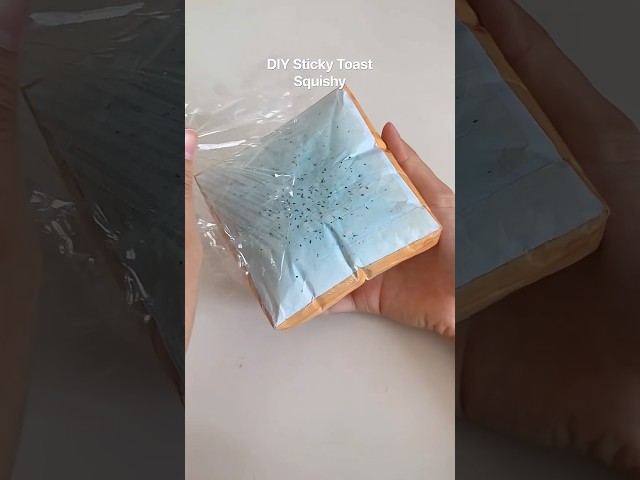 DIY Sticky Toast Squishy!? #craft #squishy #papercraft #diy #diycrafts #craftideas