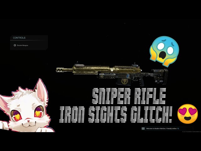 Modern Warfare - AX-50 Iron Sights Glitch Tutorial? 😱😱 (*Patched*)