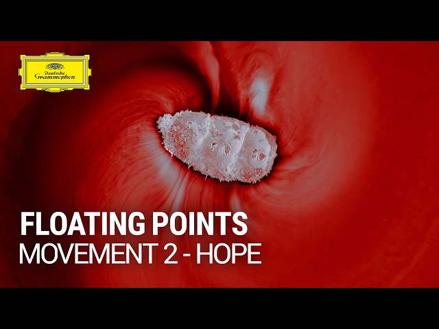 Floating Points - Movement 2: Hope (Official Music Video)