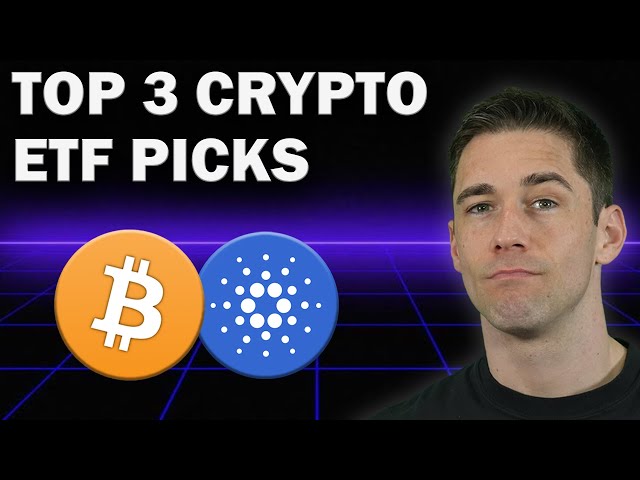 Top 3 Crypto Coins That Institutions Will PUMP in 2025 (ACT NOW)