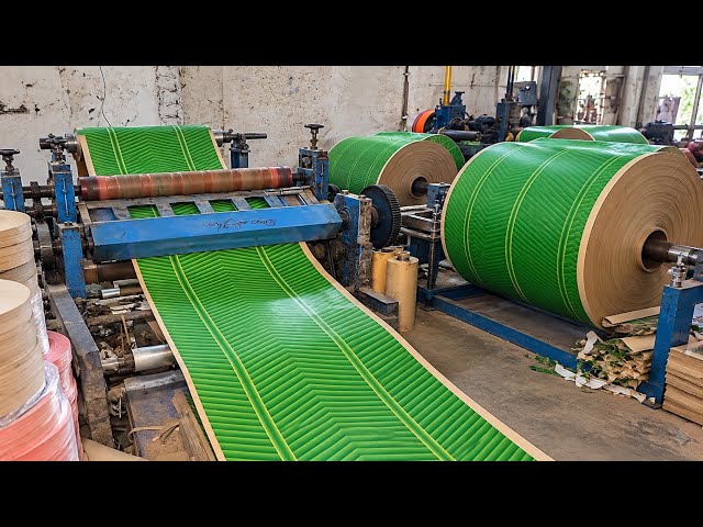 Amazing Paper Plate Manufacturing Complete Process | How Paper Plates Are Made In Factory