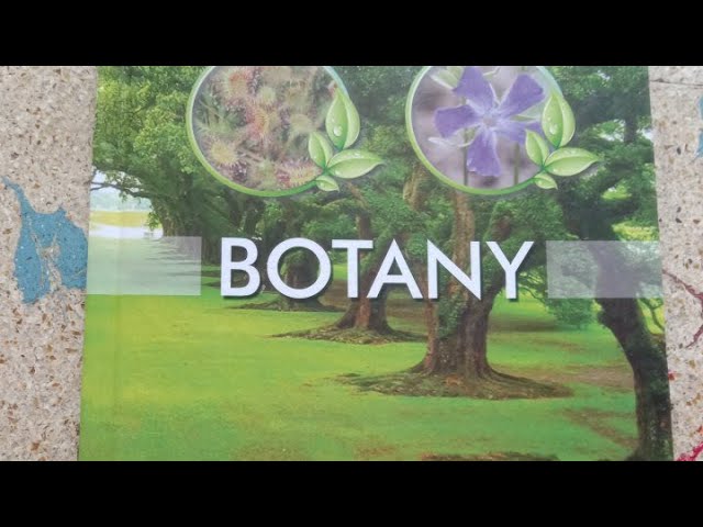 Let's start doing plus one BOTANY record🙋🏻‍♀️🥲