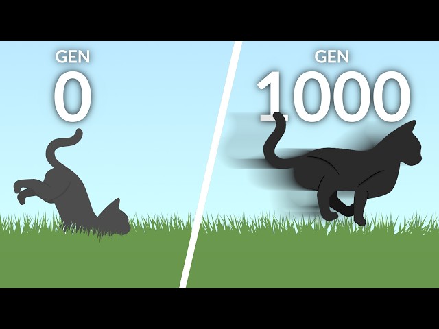 AI Cat Learns to Run