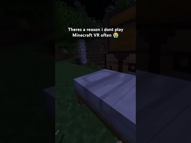What was your favorite kind of rock? mcvrlive SMP #minecraft #smp #mcvrlive #smplive #hermitcraft