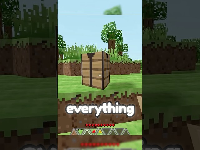 THEY TURNED MINECRAFT INTO TRIANGLES