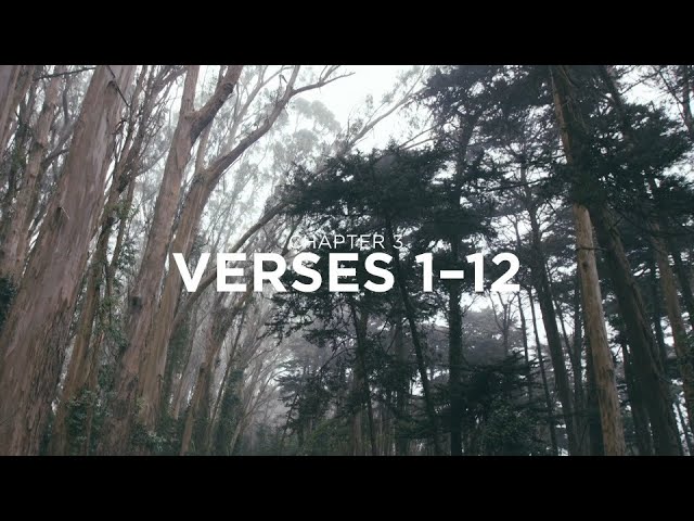 The Book of James with Francis Chan | Bible Study Session 6 | James 3:1–12 | RightNow Media
