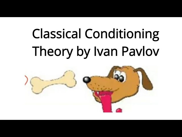 Classical Conditioning Theory of Learning | Ivan Pavlov | learning | Organisational Behaviour