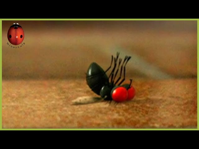 The Escapist | Minuscule | S01E59