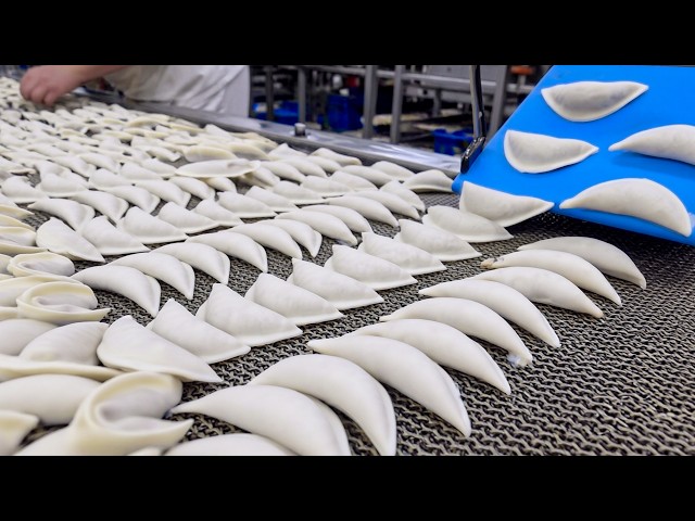 Insane Speed of Machines Making Thousands of Dumplings. Food Mass Production