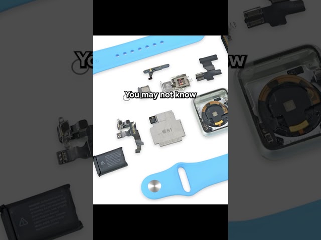 Apple Watch OLED: Jony Said "No Chins!"
