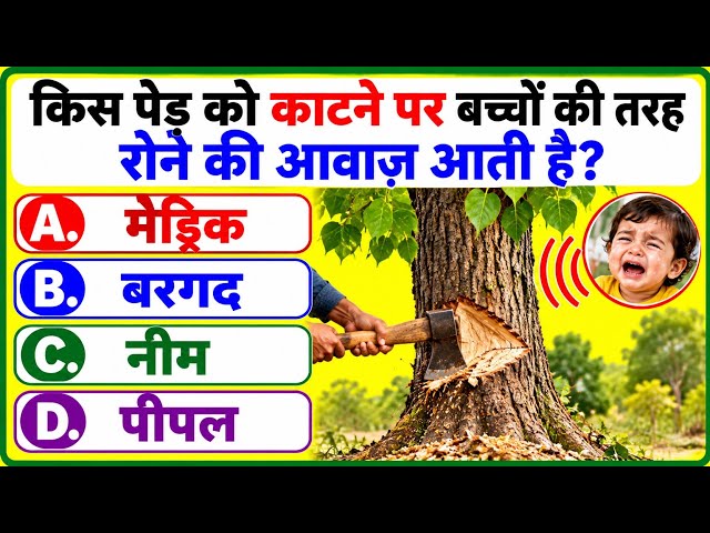GK Question and Answer || Most important gk Question || Hindi Gk Quiz || A1 GK QUIZ 