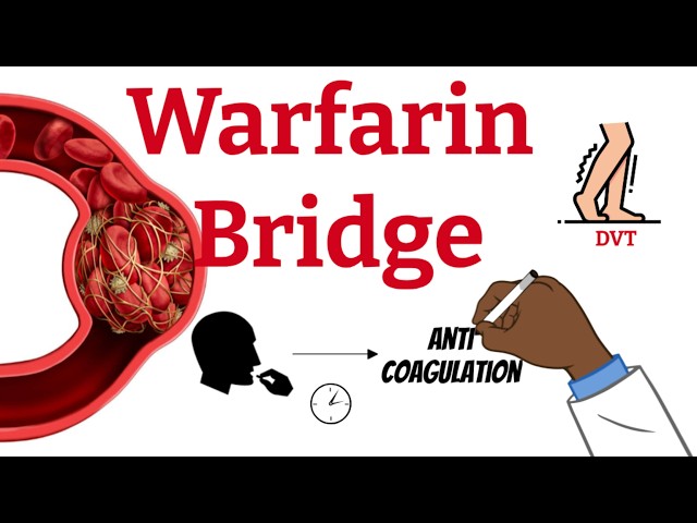 Why do we bridge Warfarin ? - Fast, simple explanation