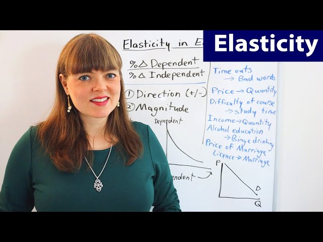 Elasticity in Economics