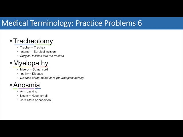 Medical Terminology | The Basics and Anatomy | Practice Problems Set 1