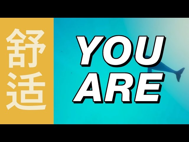 You Are What You Were