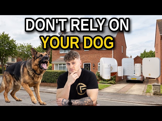 Burglars Ignored The Dog. Then The Alarm Went Off
