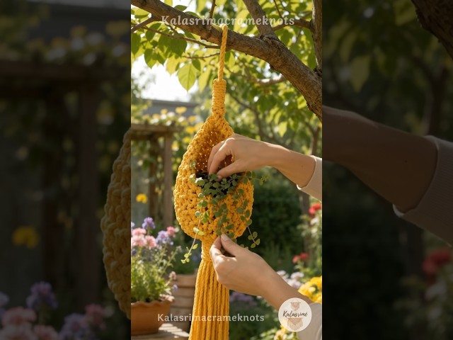 Diy Macrame pod wall hanging #diy #wallhanging #walldecor #homedecor #plantholder #shorts #handmade