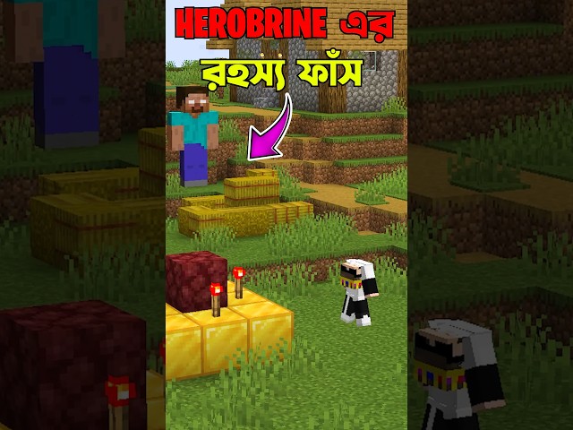 Never Make A Wish To Herobrine In Minecraft #minecraft