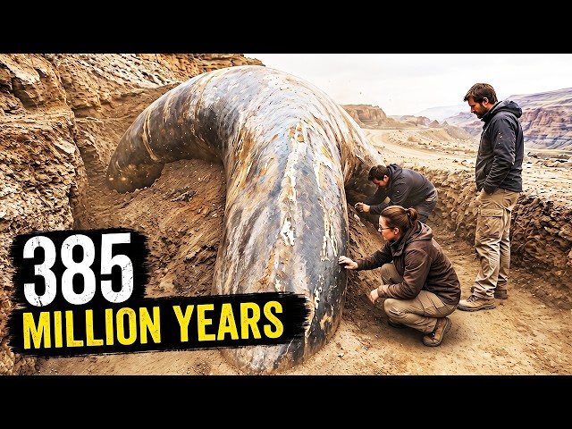 A Discovery That Shouldn’t Have Survived to the Present Day