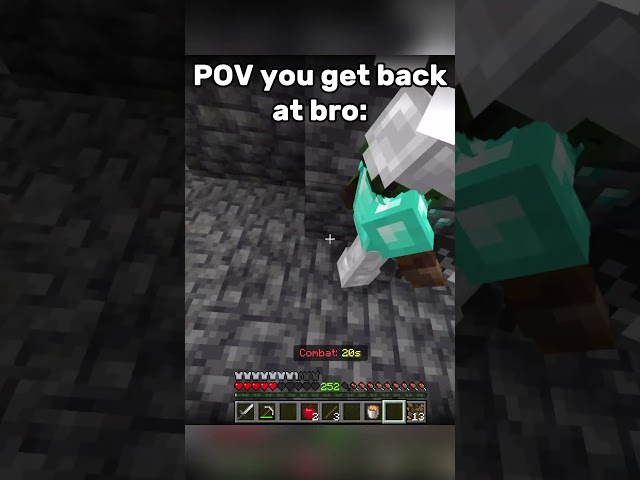 POV you get back at bro: #minecraft #gaming #funny