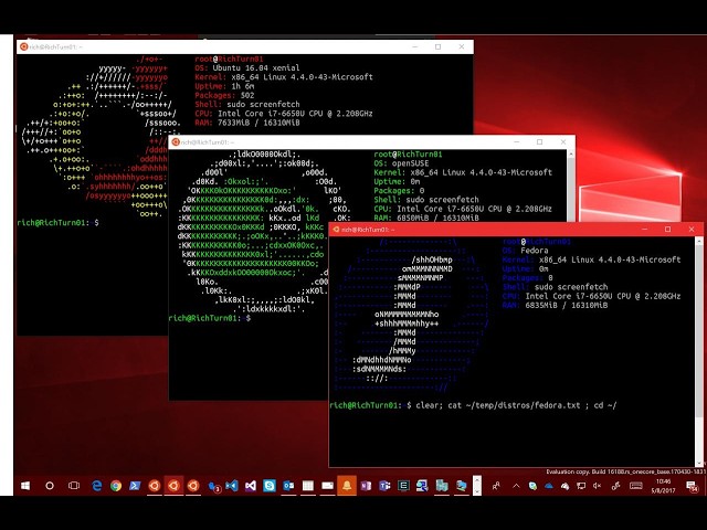 IT Roadmap You’ll Actually Use! #itcourse #informationtechnology #codingtutorial #computerbasics