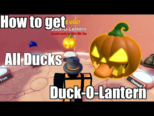 How to get Duck-o-Lantern in Family Zone & Duck Duck | FREE UGC | Unlimited Stock | ALL 25 DUCKS