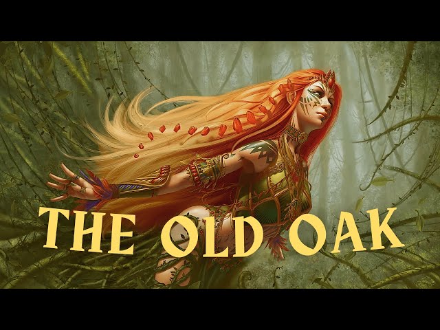 THE OLD OAK | calm celtic playlist