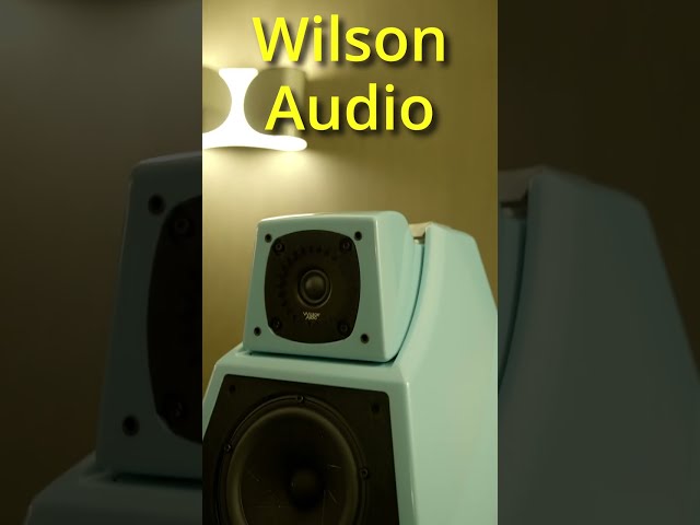 £80k Hi-Fi Speakers Look Like Dalek! 😱