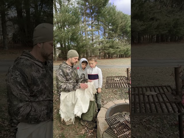 Softening Braintan! #history #findinghistory #survival #ageofexploration