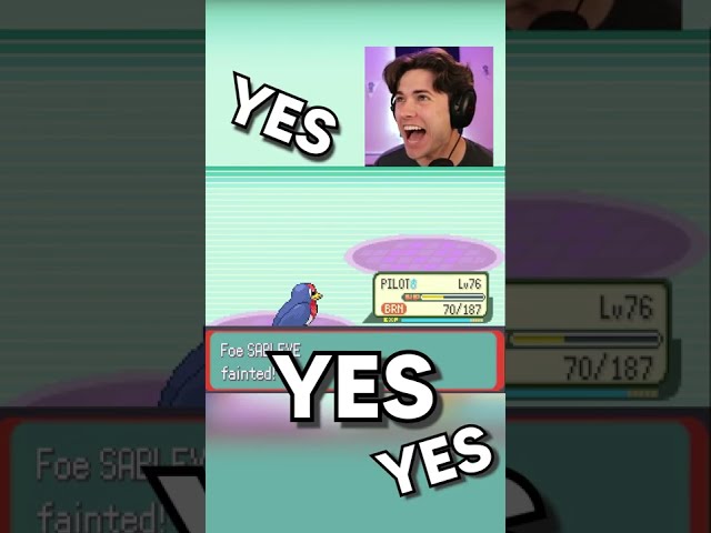 One Pokemon beat the whole game...