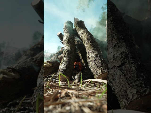 Slingshot Squirrel Catch Clean Cook #slingshot #survival skills #squirrelhunting