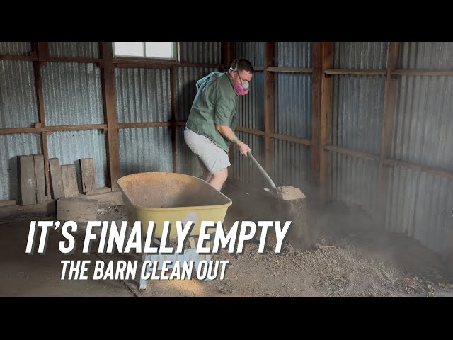 Barn Cleanup & Signs Of A Fire?!