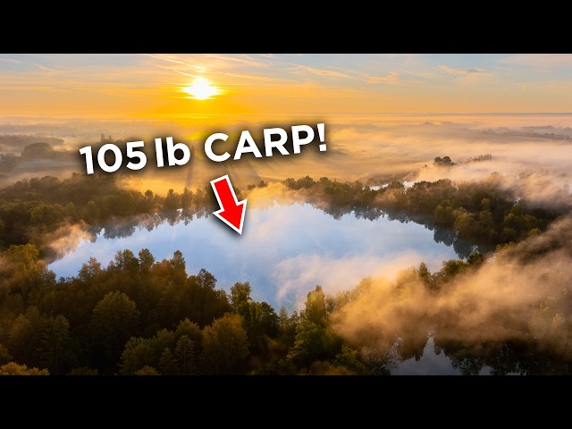 Fishing for the Biggest Carp in the World...